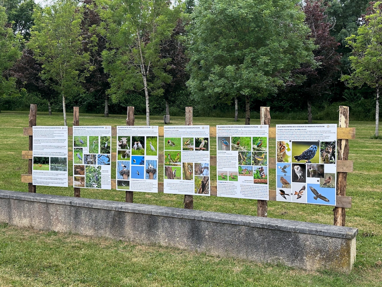 L'exposition Oiseaux de la grande Rigole sur la parking de la D1 à La Garette (79270)